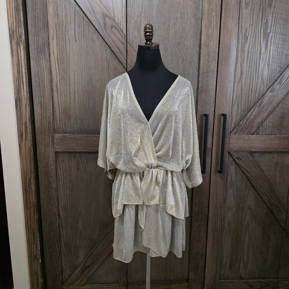 IRO Dresses & Skirts - IRO Metallic Gold Sheer Dress